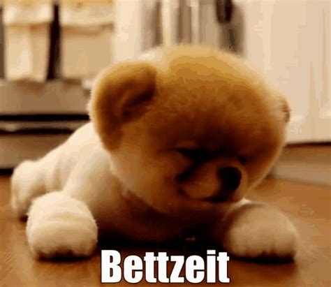 müde gif|Müde Schlafen GIF .